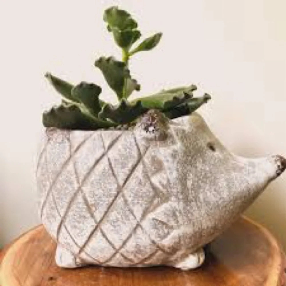 Hedgehog Indoor Ceramic Planter Pot